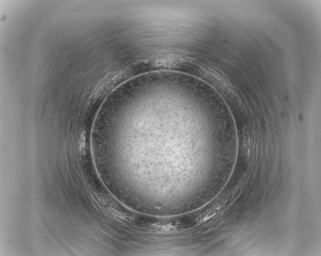 X0000059040502200510101013