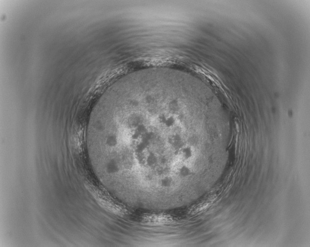 X0000059040503200510101013