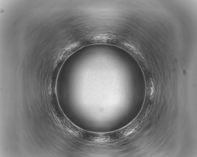 X0000059040504200510101013