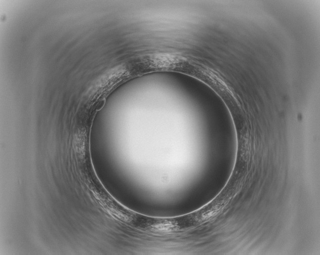 X0000059040505200510101013