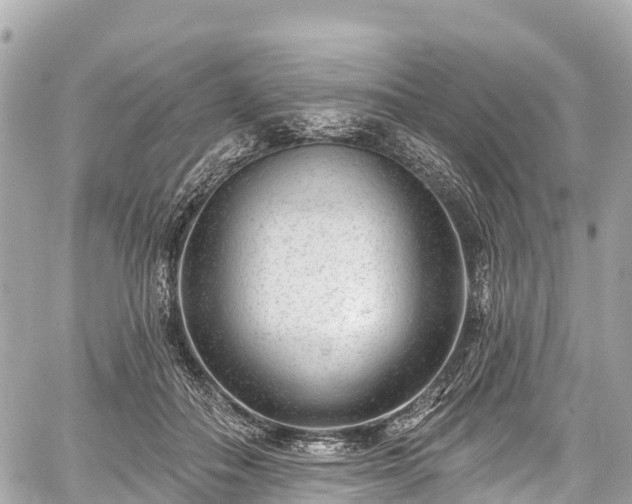 X0000059040506200510101013