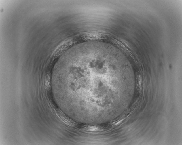 X0000059040507200510101013