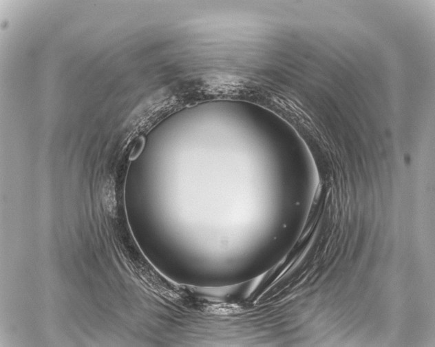 X0000059040508200510101013