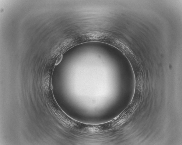 X0000059040509200510101013