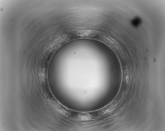 X0000059040510200510101013