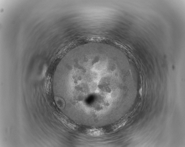 X0000059040511200510101013