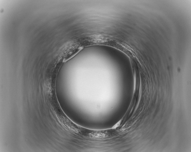 X0000059040512200510101013