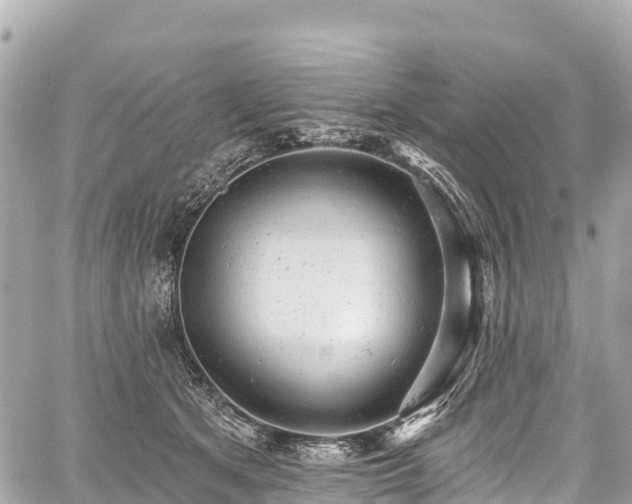 X0000059040513200510101013