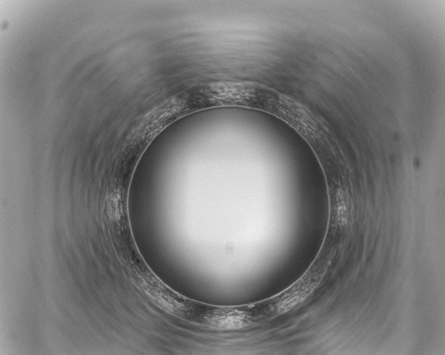 X0000059040514200510101013