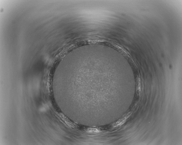 X0000059040519200510101013