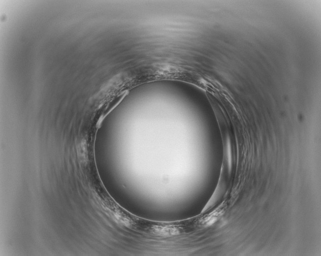 X0000059040520200510101013