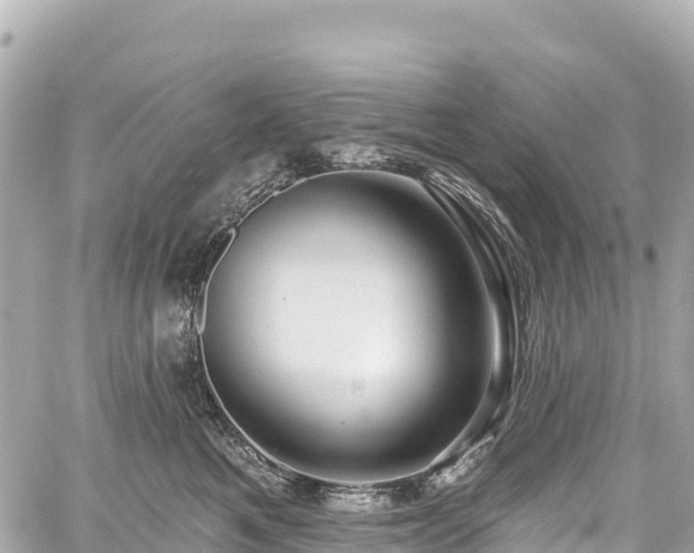 X0000059040521200510101013