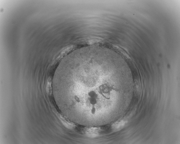 X0000059040527200510101013