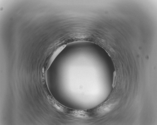 X0000059040528200510101013