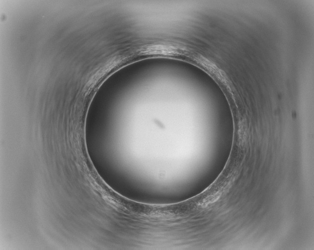 X0000059040529200510101012