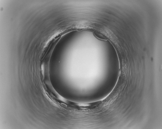 X0000059040530200510101012