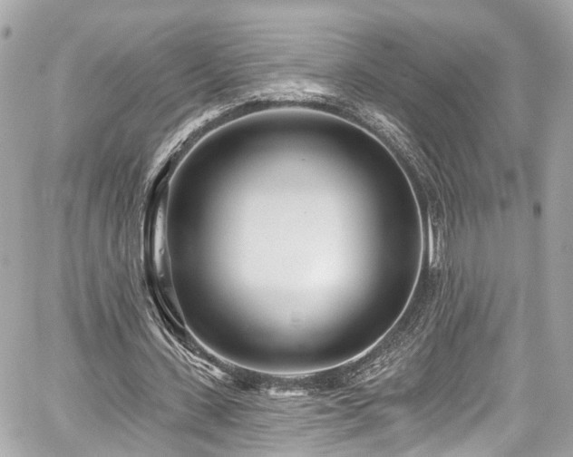 X0000059040531200510101012