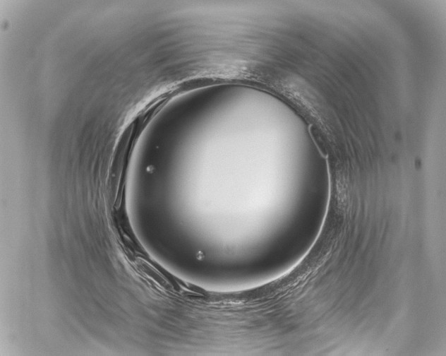 X0000059040532200510101012