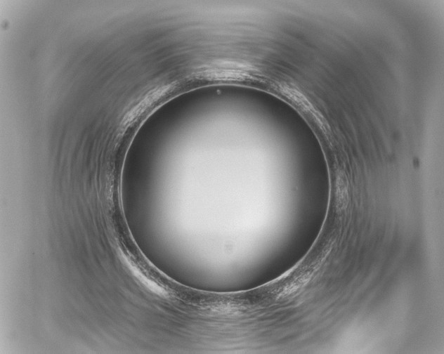 X0000059040533200510101012