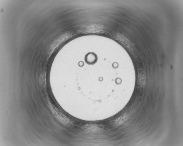 X0000059040534200510101012