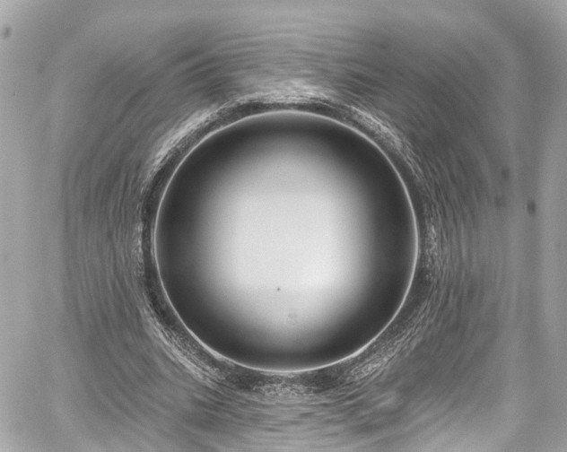 X0000059040535200510101012