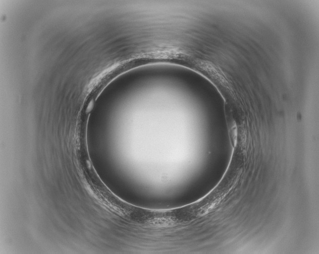 X0000059040536200510101012