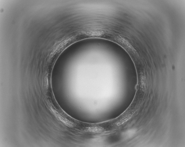 X0000059040541200510101012