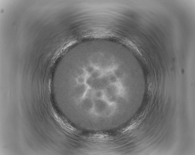 X0000059040542200510101012