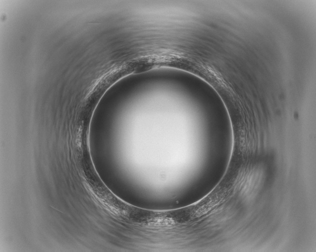 X0000059040543200510101012