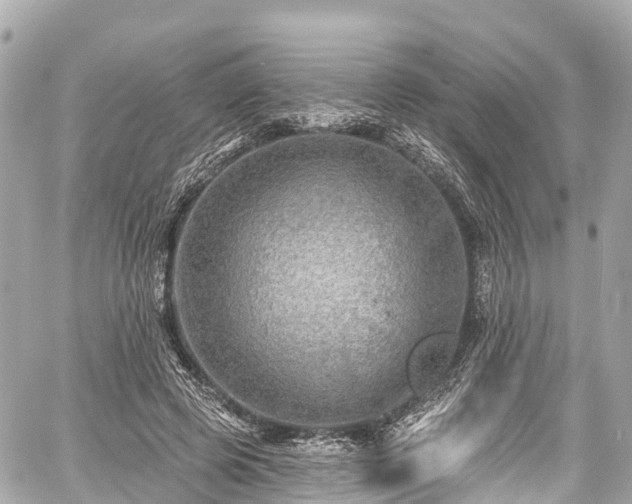 X0000059040545200510101012