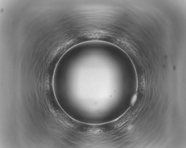 X0000059040547200510101012