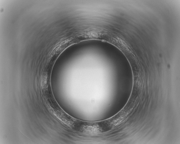 X0000059040548200510101012