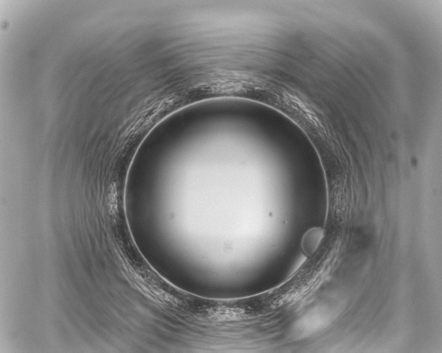 X0000059040549200510101012