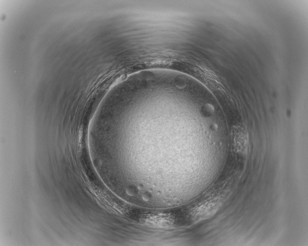 X0000059040550200510101012