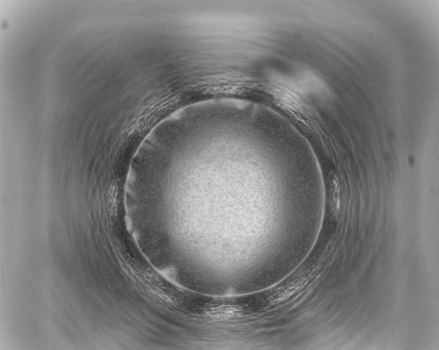 X0000059040551200510101012