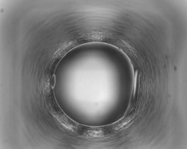 X0000059040552200510101013