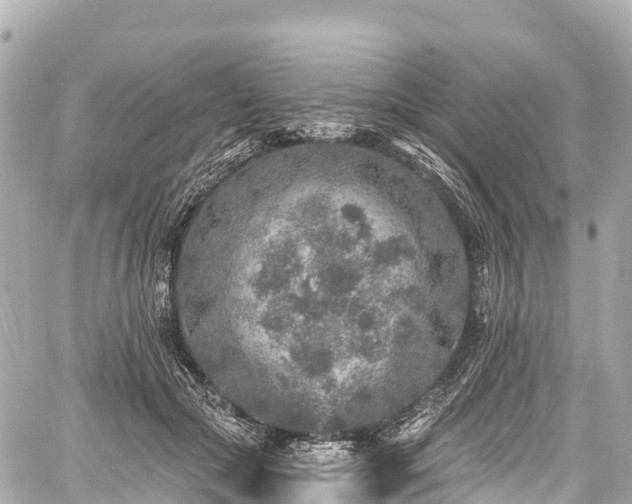 X0000059040553200510101013