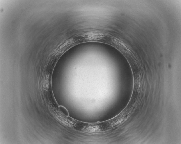 X0000059040554200510101013