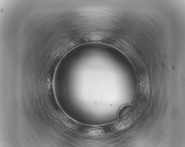 X0000059040555200510101013