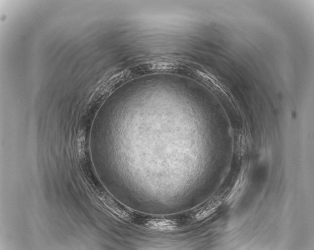 X0000059040557200510101013