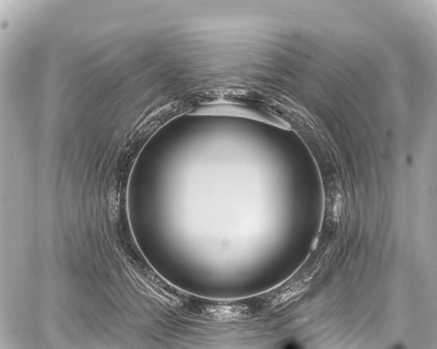 X0000059040558200510101013