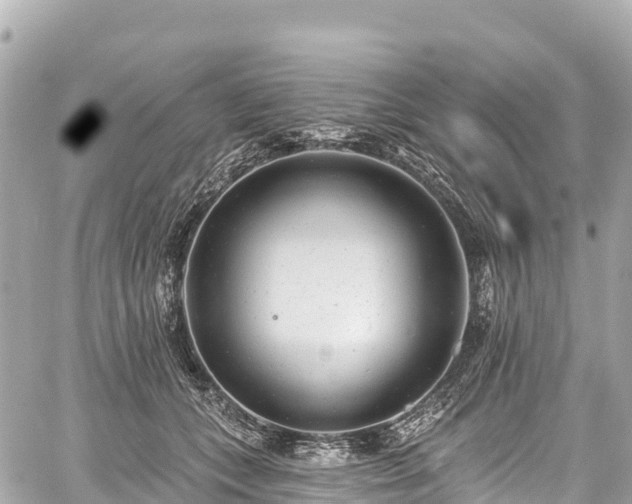 X0000059040559200510101013