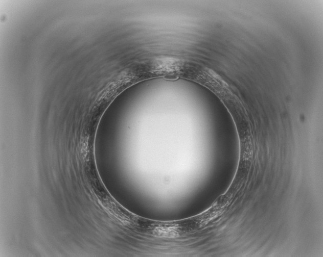 X0000059040560200510101013