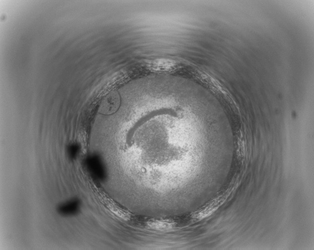 X0000059040561200510101013