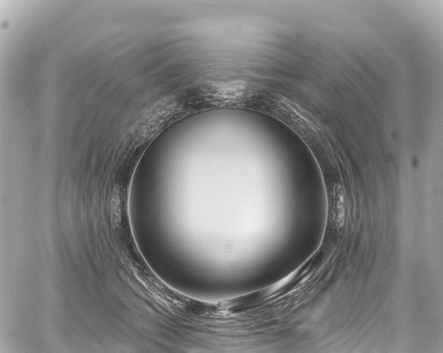 X0000059040562200510101013