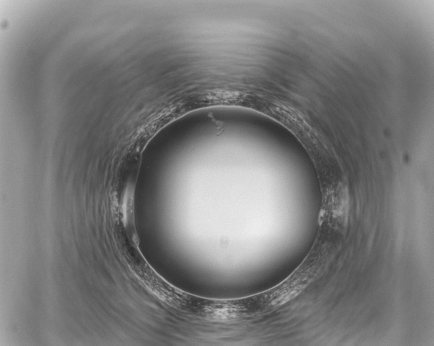 X0000059040564200510101013