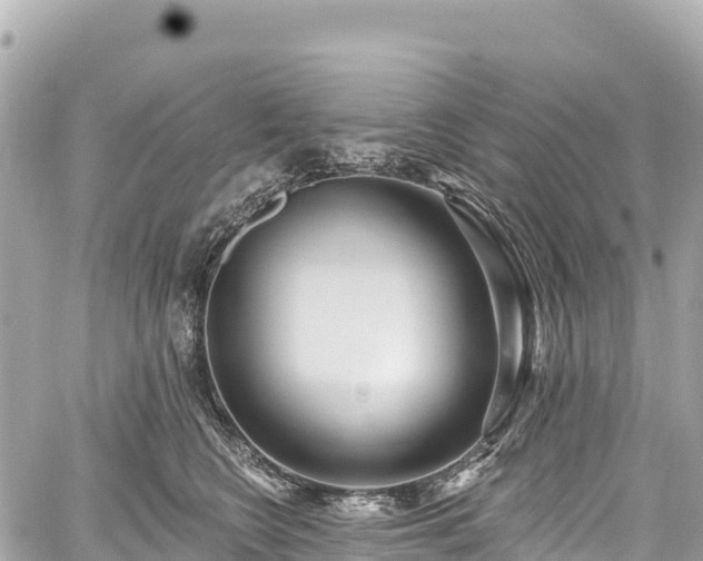 X0000059040566200510101013