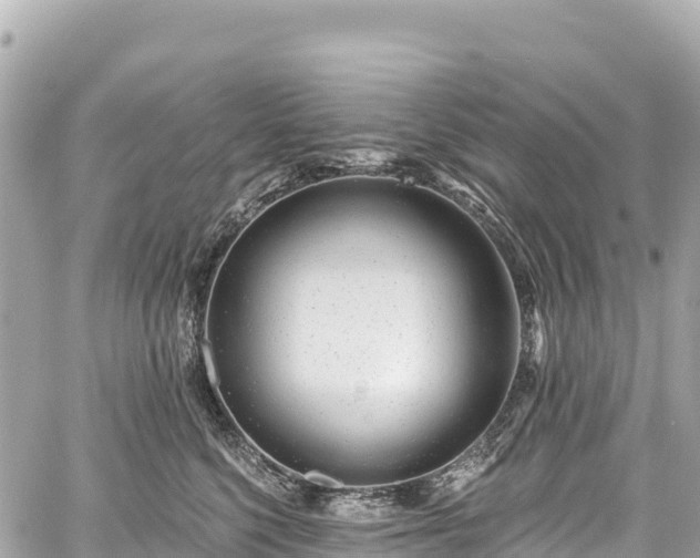 X0000059040568200510101013