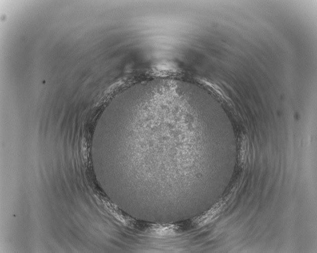 X0000059040569200510101013