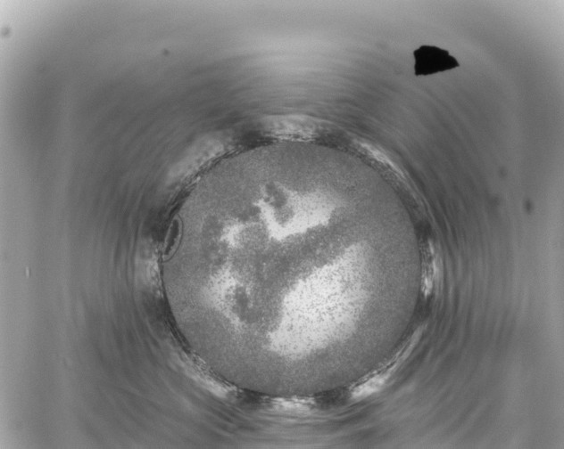 X0000059040573200510101013